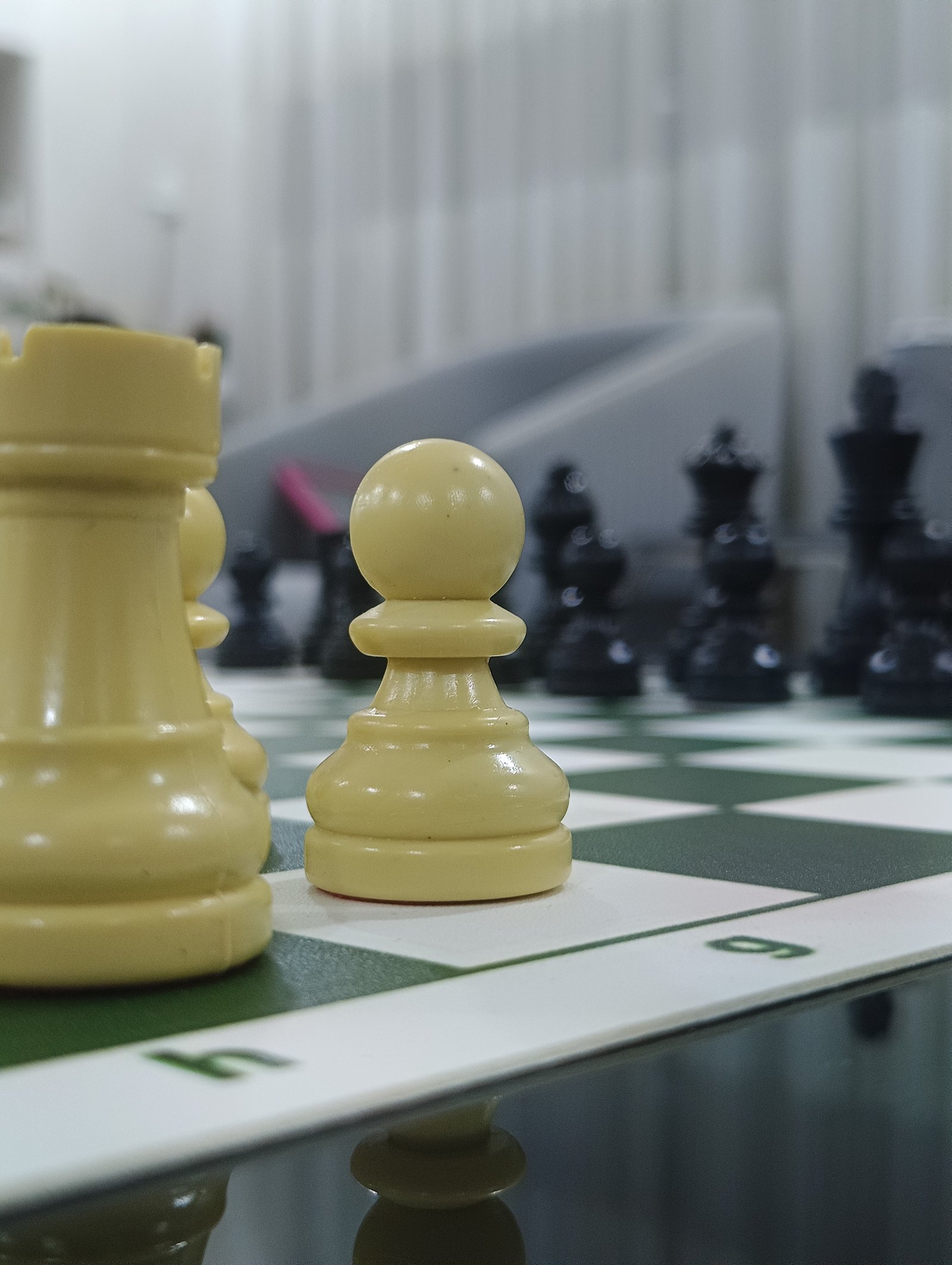 وێنەی محەمەد زاتی